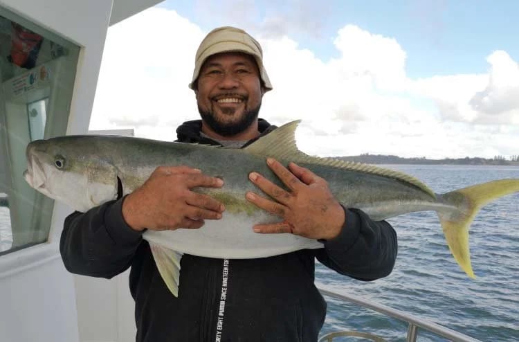 Kingfish landed on an Auckland fishing charter