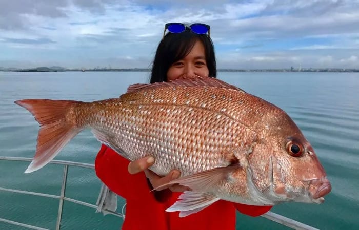 Auckland fishing charter on the Hauraki Gulf