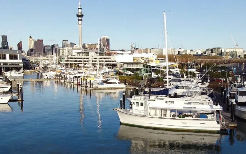 Auckland's largest charter boat, MV Koru