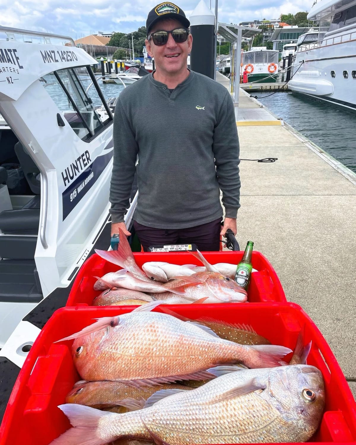 Workup action — birds and bait fish