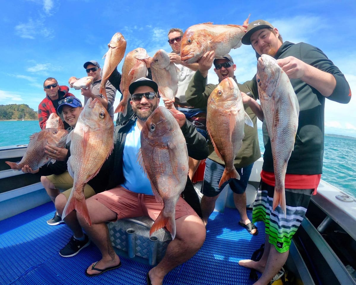 Auckland Fishing Charters