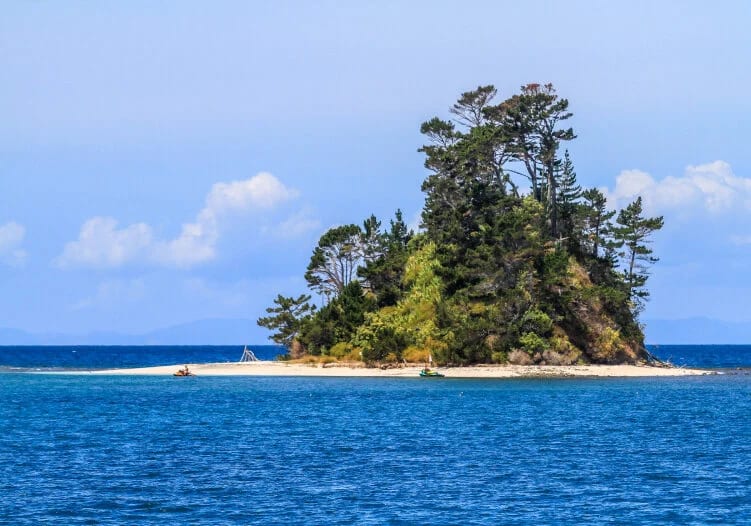 Kawau Fish 'n' Stay Overnighter