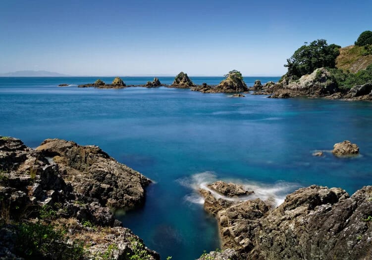 Waiheke Fish 'n' Wine